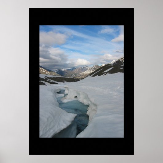 Alaska Poster (Voorkant)