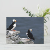 Alaska Puffins verweerde kleurrijke vogels (Staand voorkant)