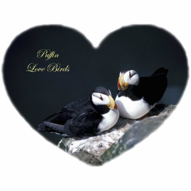 Alaska Puffins verweerde kleurrijke vogels Fotobeeldje Sleutelhanger (Voorkant)