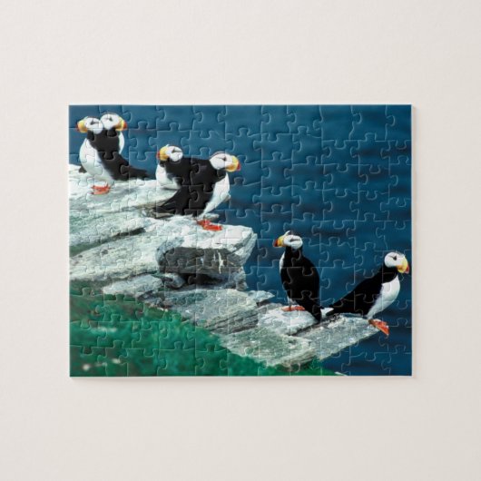 Alaska Puffins verweerde kleurrijke vogels Legpuzzel (Horizontaal)