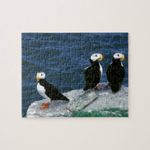 Alaska Puffins verweerde kleurrijke vogels Legpuzzel