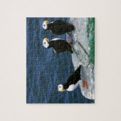 Alaska Puffins verweerde kleurrijke vogels Legpuzzel (Verticaal)