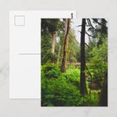 Alaska-regenwoud Briefkaart (Voorkant / Achterkant)