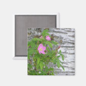 Alaska Roos #12 Magneet (Voorkant / Achterkant)