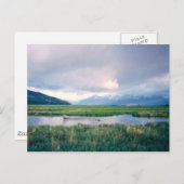 Alaska Sanctuary Briefkaart (Voorkant / Achterkant)