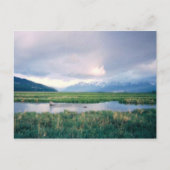 Alaska Sanctuary Briefkaart (Voorkant)