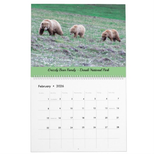Alaska Scenery and Wildlife Calendar Kalender (Feb 2026)