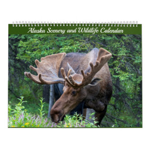 Alaska Scenery and Wildlife Calendar Kalender