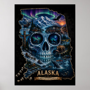 Alaska Schedel Illusie Astigmatisme TOESTAND van Poster