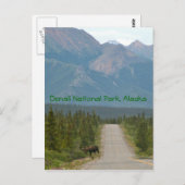 Alaska Schilderachtig Briefkaart (Voorkant / Achterkant)