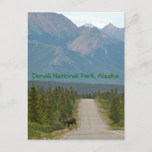 Alaska Schilderachtig Briefkaart