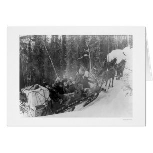 Alaska Sled Train 1903