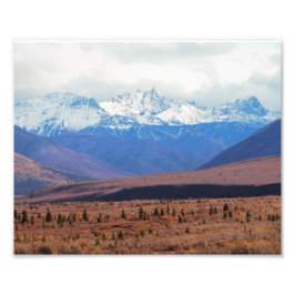 Alaska, Snowy Mountains, Herfst Foothills, Denali Foto Afdruk