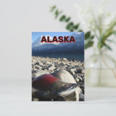 Alaska Sockeye Salmon Briefkaart (Staand voorkant)