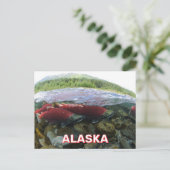 Alaska Sockeye Salmon Briefkaart (Staand voorkant)