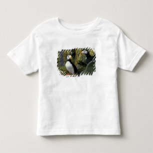 Alaska, St. Paul-eiland, de Pribilofs, gehoornde Kinder Shirts
