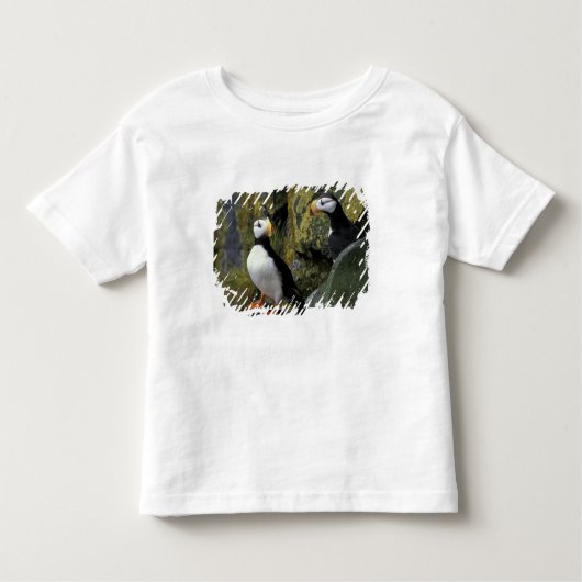 Alaska, St. Paul Island, de Pribilofs, gehoornd Kinder Shirts (Voorkant)
