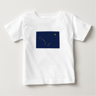 Alaska Staatsvlag
