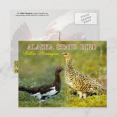 Alaska State Bird - Willow Ptarmigan Briefkaart (Voorkant / Achterkant)