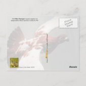 Alaska State Bird - Willow Ptarmigan Briefkaart (Achterkant)