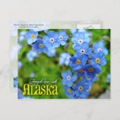 Alaska State Flower: Vergeet-me-niet Briefkaart (Voorkant / Achterkant)