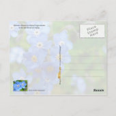 Alaska State Flower: Vergeet-me-niet Briefkaart (Achterkant)