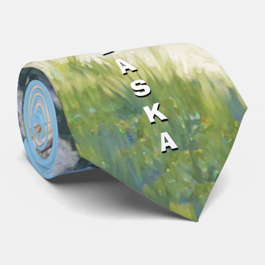 Alaska Struik Plane Souvenirs Stropdas (Opgerold)