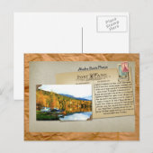 Alaska Struik Planes Briefkaart (Voorkant / Achterkant)