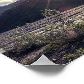 Alaska Sunbeams | POSTER (Hoek)