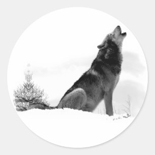 Alaska Timber Wolf Sticker