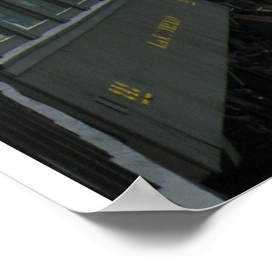 Alaska Train Adventure Poster (Hoek)