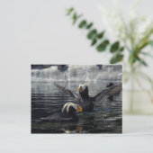 Alaska Tufted puffins Briefkaart (Staand voorkant)