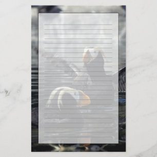 Alaska Tufted puffins Briefpapier