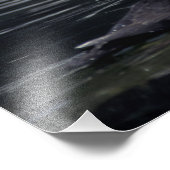 Alaska Tufted puffins Foto Afdruk (Hoek)