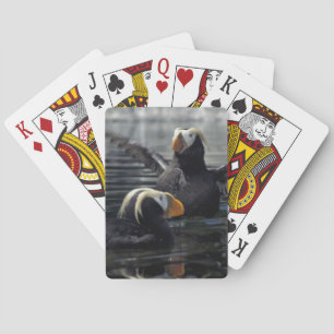 Alaska Tufted puffins Pokerkaarten