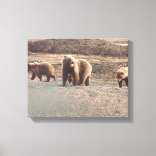 Alaska Tundra Grizzlies Foto ontworpen print