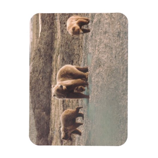 Alaska Tundra Grizzly Sow en de koelkast Cubs Magneet (Verticaal)