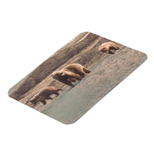 Alaska Tundra Grizzly Sow en de koelkast Cubs Magneet (Linkerzijde)
