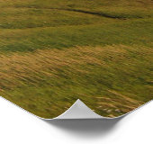 Alaska TurnOpnieuw Arm Poster (Hoek)