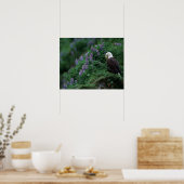 Alaska, Unalaska Island Bald Eagle bij Nootka Poster (Keuken)