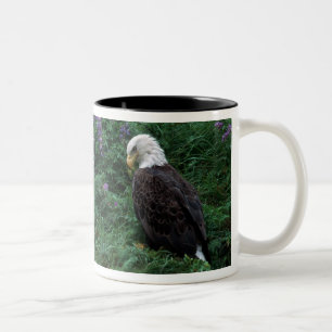Alaska, Unalaska Island Bald Eagle bij Nootka Tweekleurige Koffiemok
