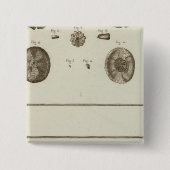 Alaska Vierkante Button 5,1 Cm (Voorkant)