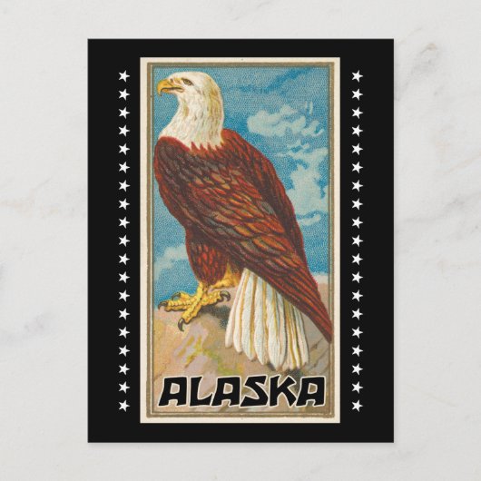 Alaska - Vintage Bald Eagle Briefkaart (Voorkant)