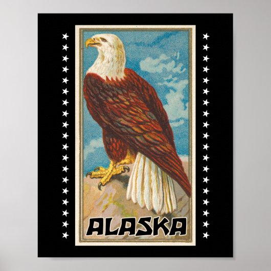 Alaska - Vintage Bald Eagle Poster (Voorkant)