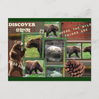 Alaska-waar de wilde dingen zijn briefkaart