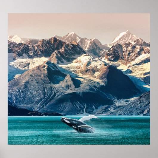 Alaska walvis kijken: boot excursie. poster (Voorkant)