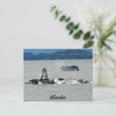Alaska Whales Briefkaart (Staand voorkant)