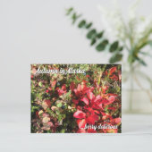 Alaska Wildberry-Briefkaart Briefkaart (Staand voorkant)