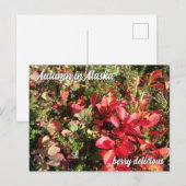 Alaska Wildberry-Briefkaart Briefkaart (Voorkant / Achterkant)