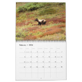 Alaska Wilderness Calendar Kalender (Feb 2026)
